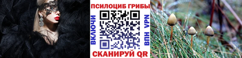 Псилоцибиновые грибы Cubensis  Купить где  Богданович 